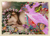 Butterfly Lullaby Storybook image